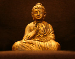 Buddist Studies