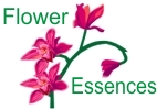 flower_essences